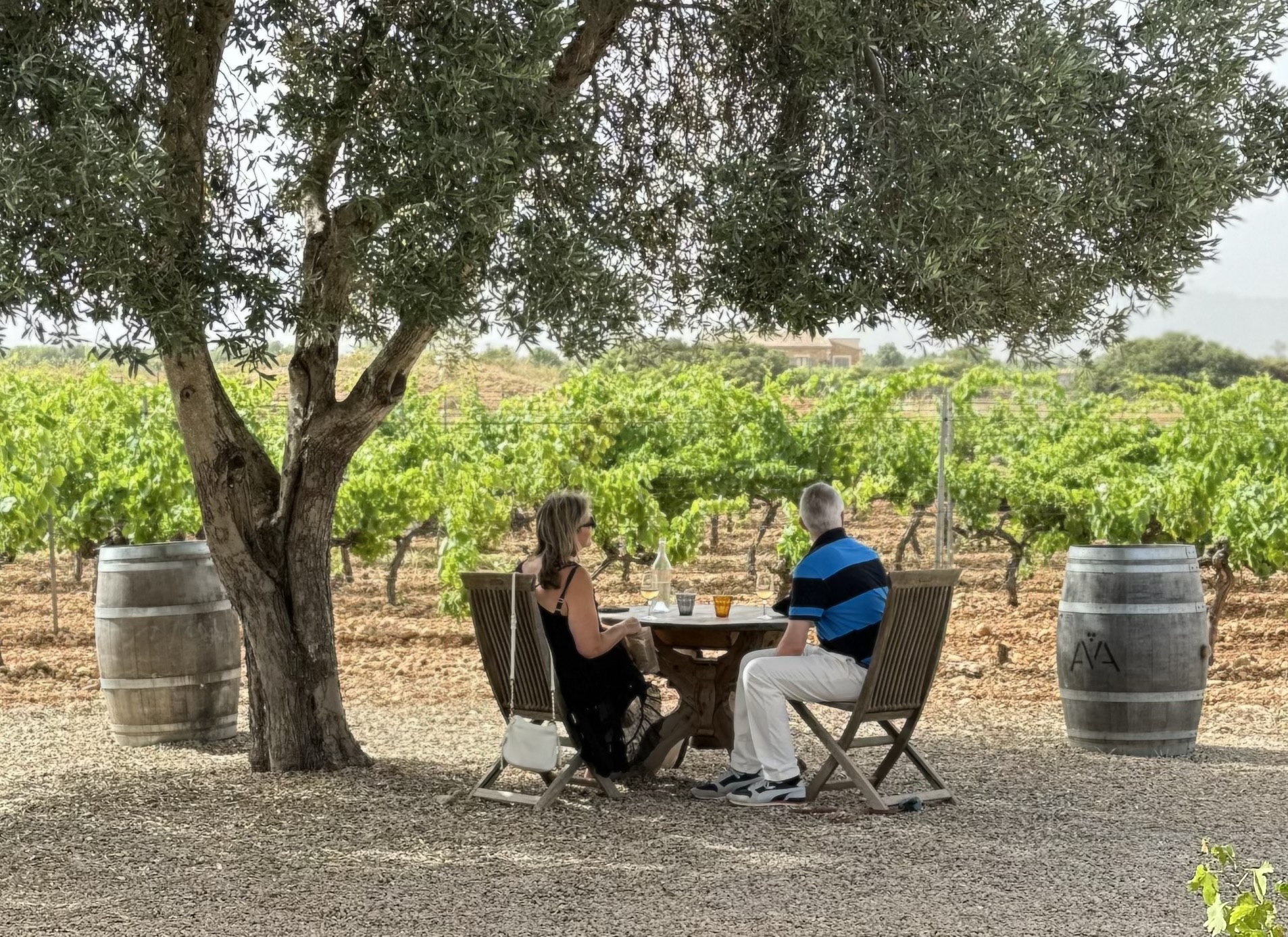 VIP Weintour Mallorca
