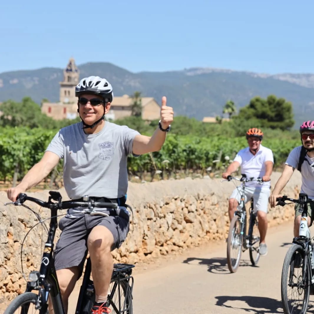 Fahrradtour durch die Weinfelder