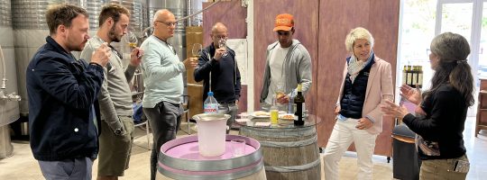 Weingut Jaume de Puntiro Santa Maria Mallorca Avenida Weintour