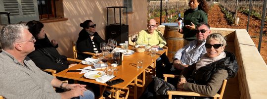 Weingut Sa Cabana Binissalem Mallorca Weintour Avenida