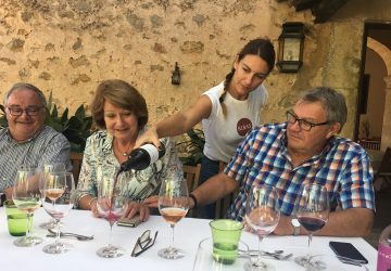 Weingut RIBAS Consell Mallorca Avenida Weintour