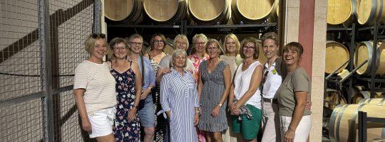 WeinTour Mallorca, Weinverkostung Mallorca, Weingut Mallorca, Weingüter Mallorca, Weinerlebnis Mallorca, Mallorca Wein Tour, Mallorca Weine