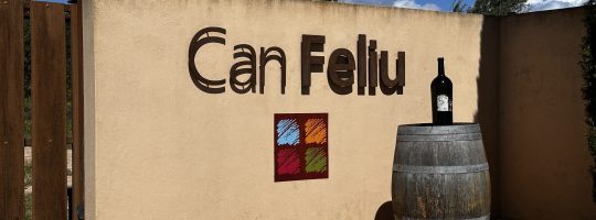 Die Vielfalt des Mallorca Wein erleben und authentisch genießen mit AvenidaTours Mallorca https://avenidatours-mallorca.de/alle-touren/