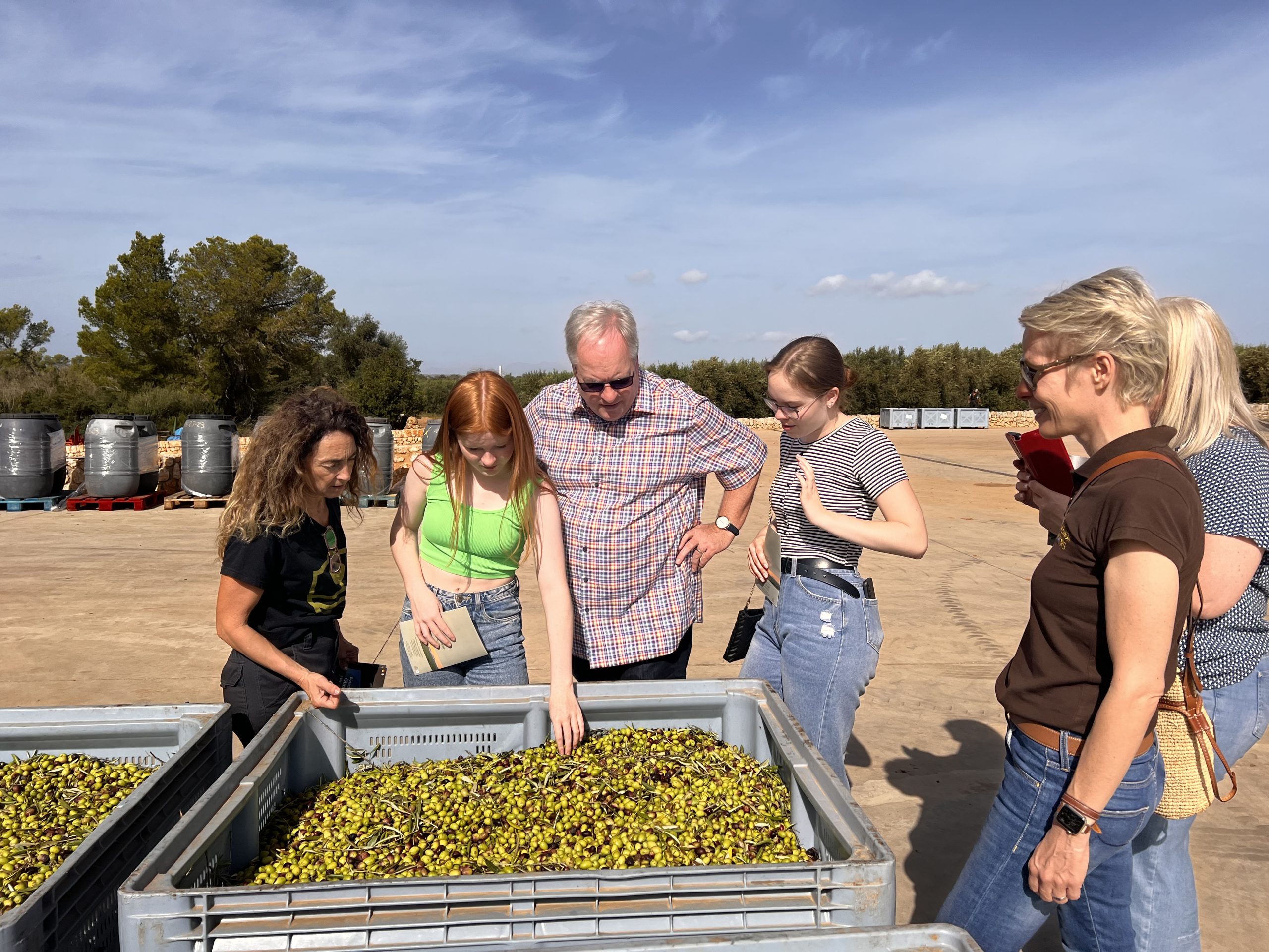 Mallorca Olivenöl- und Weintour